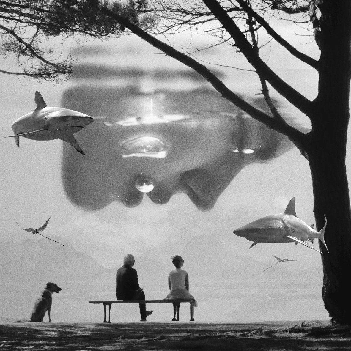 664-Dreamers_housecatstudio_un